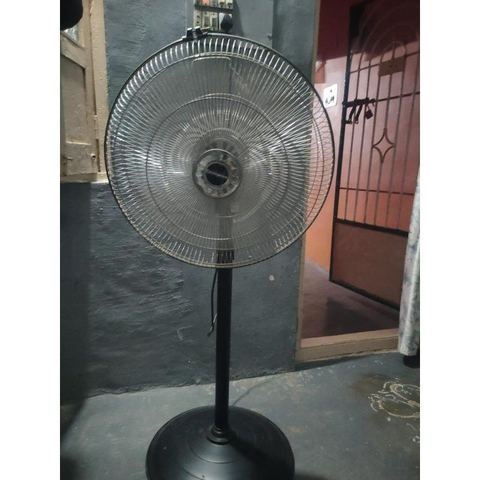 Fan